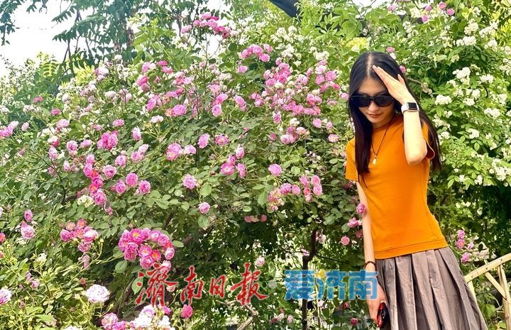 一年四季 泉在济南｜泉城景区预热“五一”