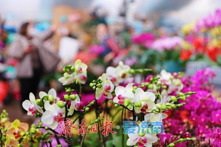 元旦临近 鲜花走俏