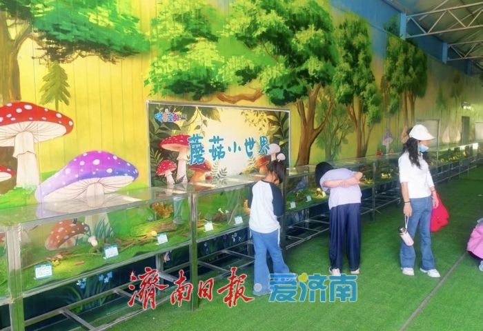 济南东部新添一处农耕主题乐园