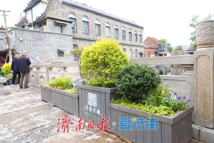 一年四季 泉在济南｜泉涌鱼游花相伴！雨后王府池子焕新姿
