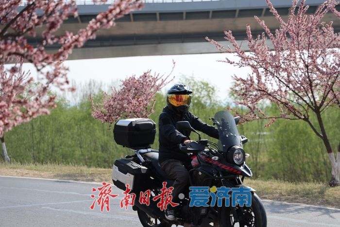 李棠织锦黄河畔 花漾绘就千里春