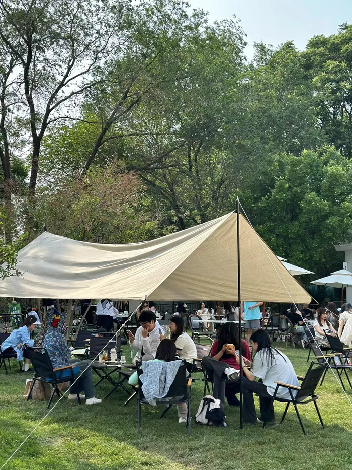 野餐、派对、音乐会……来济南吧，享受“草坪自由”