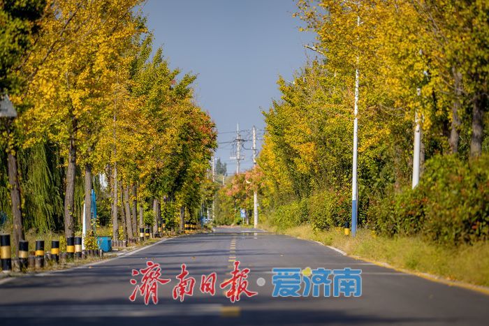 一年四季 泉在济南 