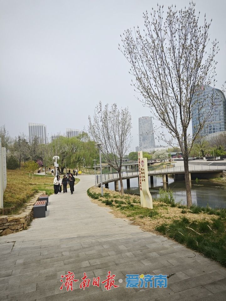 一年四季 泉在济南｜腊山河公园杜梨花开 午间赏花人气浓