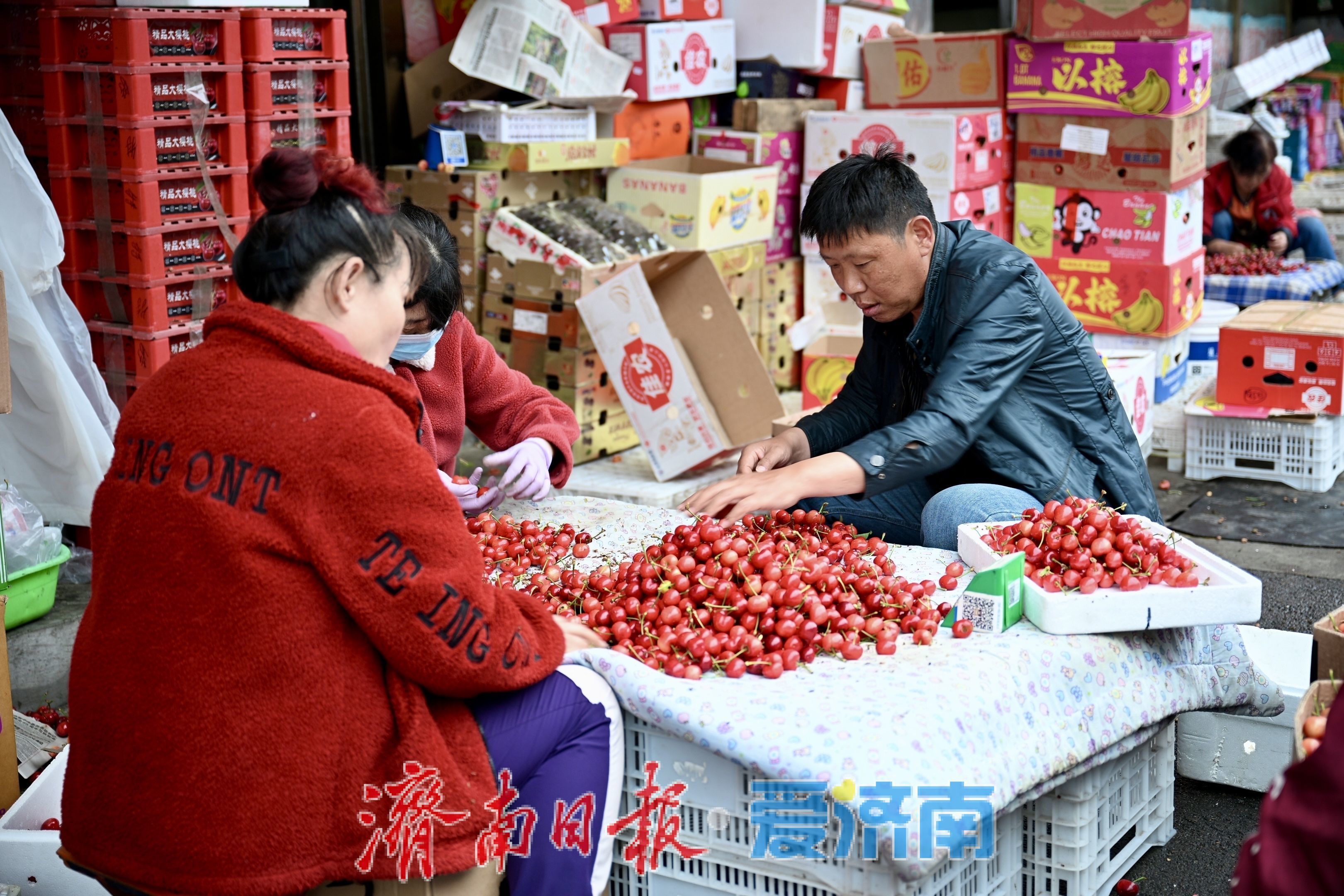堤口果品批发市场迎樱桃购销热潮 南山樱桃成焦点
