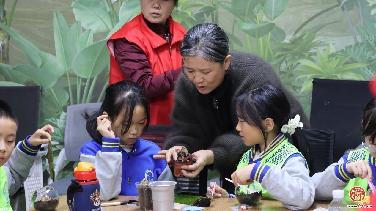 指尖上的绿意！济南园·林惠民行带你DIY专属“迷你森林”