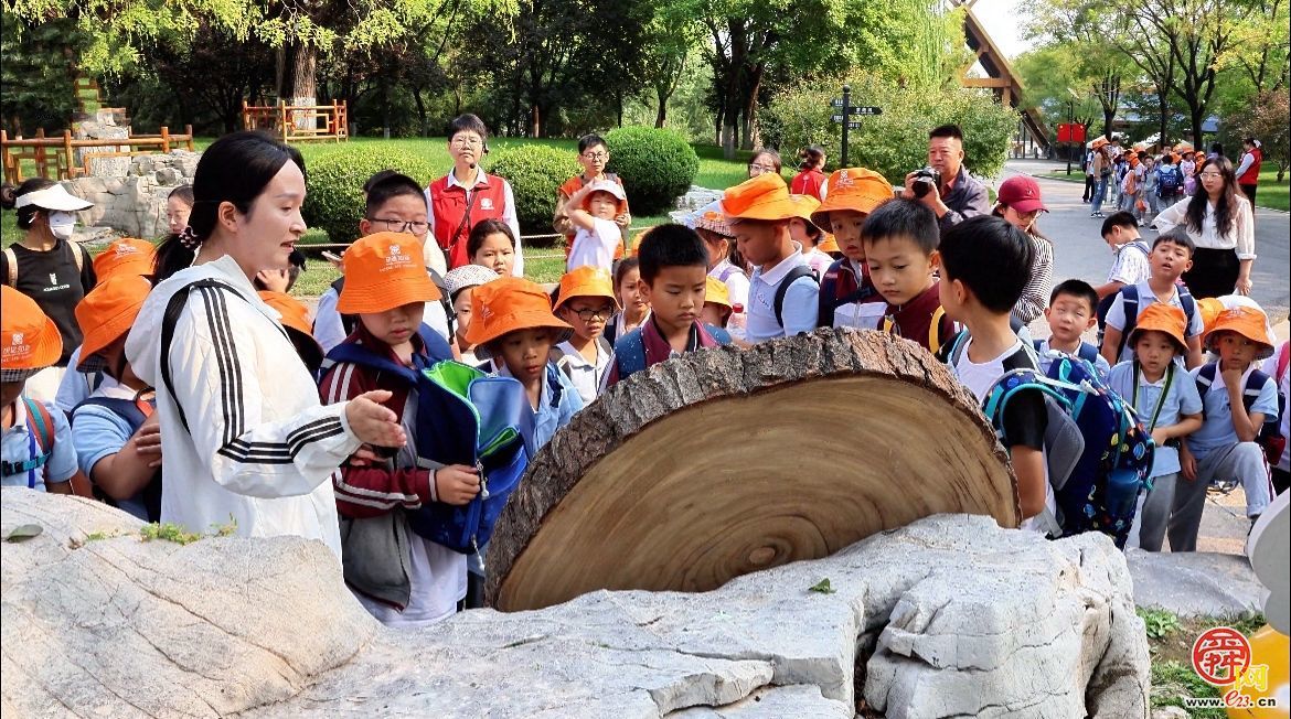 植绿护绿全民行｜“护”百年古树 “植”绿色未来济南市“全民义务植树+古树研学”活动走进济南植物园