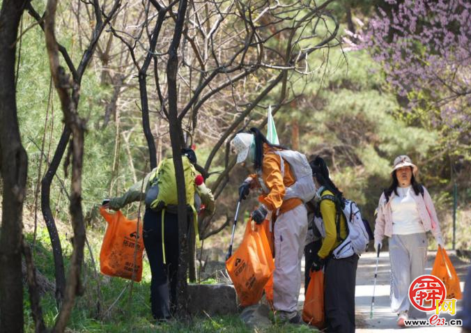 百人聚力净山野 生态守护筑青山 济南“一城山色”药乡森林公园百人净山活动圆满收官