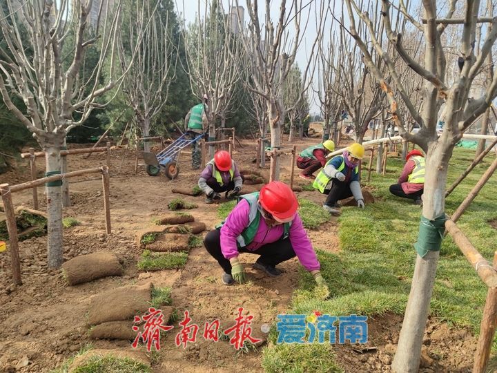 济南轨交四号线腊山河公园站围挡拆除，出入口亮相