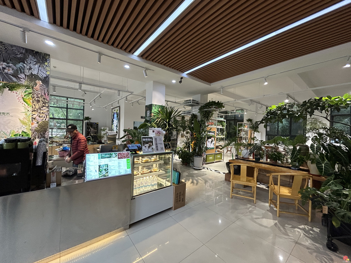 花漾齐鲁·喜迎新春 2026年宵花市盛大开幕