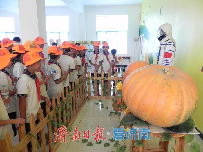 济南“科技小院”激活乡村振兴新引擎