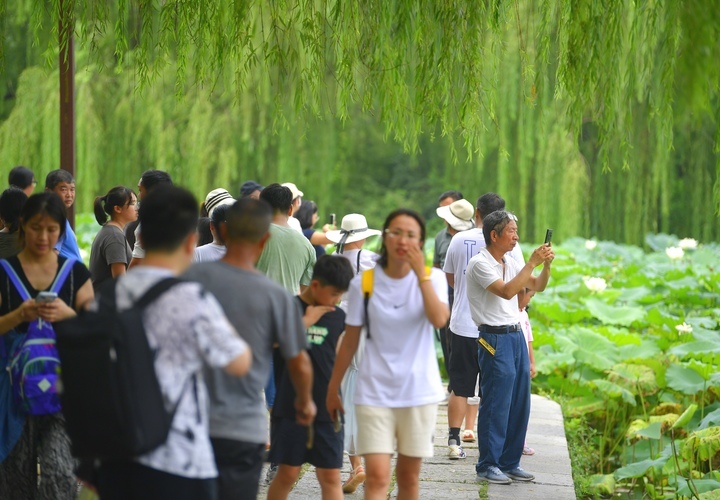 “泉”在济南过暑假 