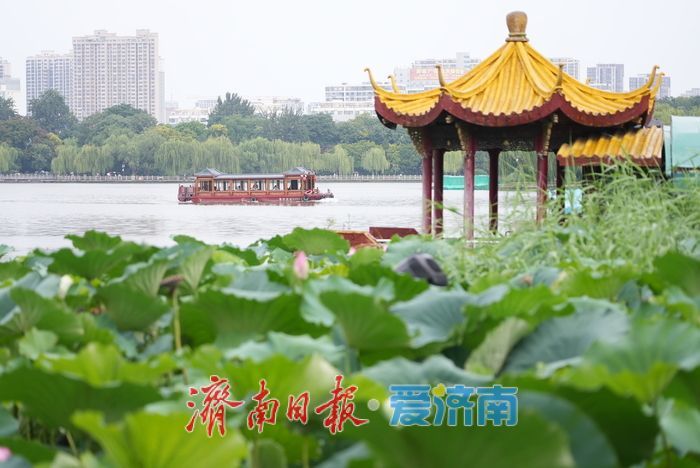 一年四季 泉在济南丨烟雨明湖 水墨泉城