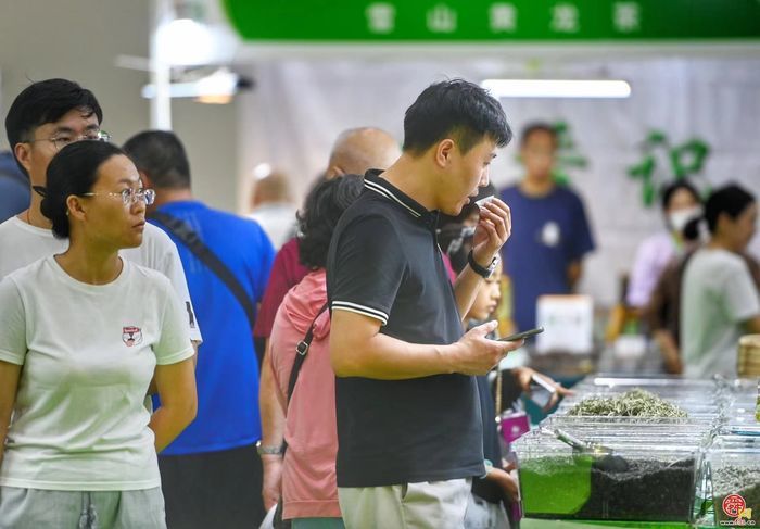 700家品牌茶企齐聚泉城 2024济南国际茶博会开幕