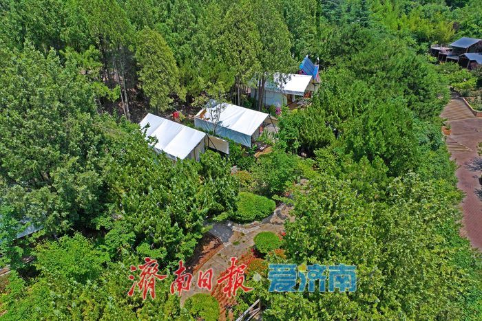 藏翠群山纳清凉！ 红叶谷打造夏日露营新体验
