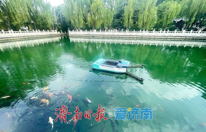 济南珍珠泉启用无人驾驶清扫船 科技赋能泉城水域清洁