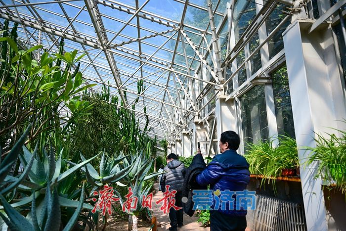 “三八”节探春意 温室成“亲子课堂”与“城市花房”