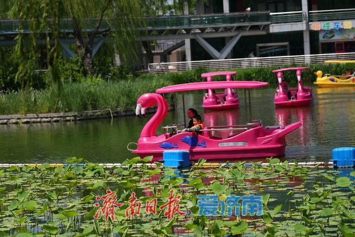初夏泛舟，市民乐享“水上时光”