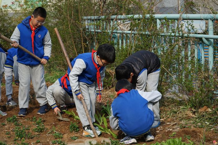 春播启新 耕育成长 —— 原山小学第七届春播节圆满举行
