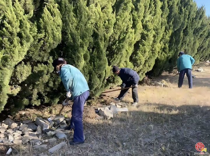 济南市第二殡仪馆多措并举护航清明祭扫