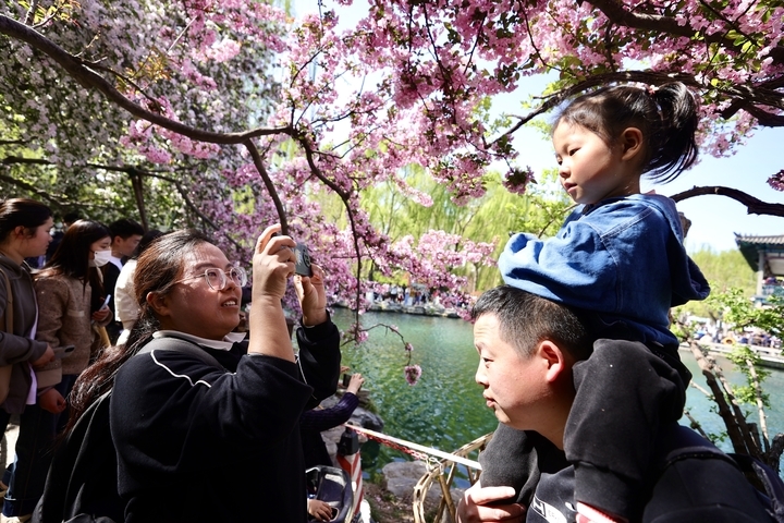 周末畅游花海 享受多彩春天