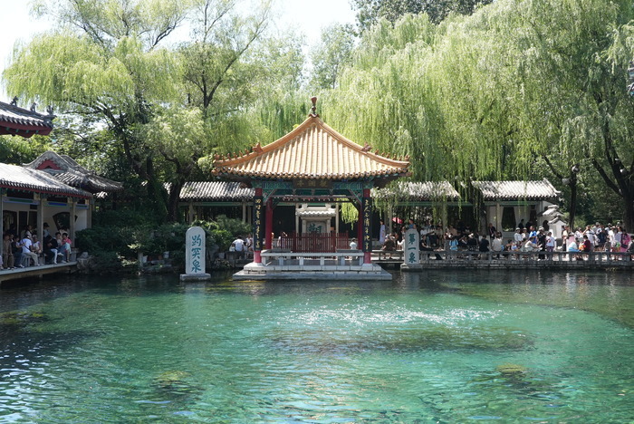 “泉”在济南过暑假｜水位“十连涨”！济南“趵突腾空”胜景重现