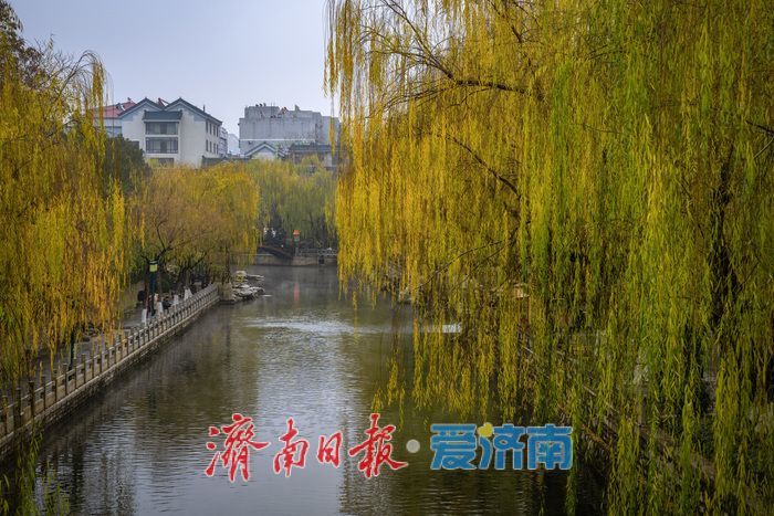 一年四季 泉在济南丨济南黑虎泉冬日云雾润蒸：清泉伴柳，仙境入画