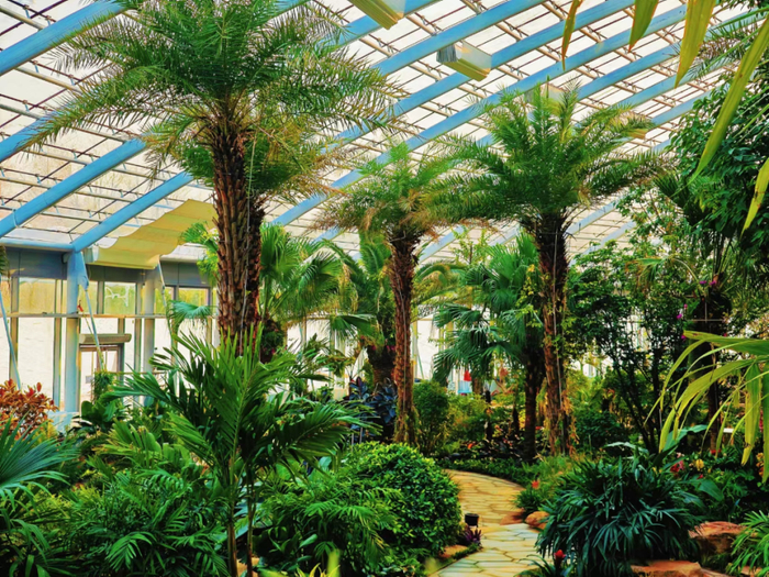 一年四季 泉在济南丨济南植物园开启自驾+帐篷之旅 解锁城市近郊的诗意栖居