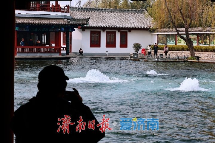百脉泉公园梅花泉持续喷涌 春日泉景醉游人