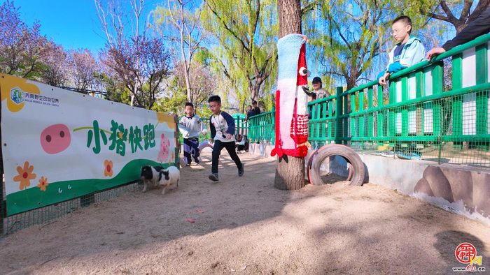 提前剧透｜济南野生动物世界马戏嘉年华重磅升级，承包你五一假期的欢乐！