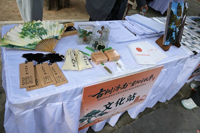 “古树济南”重阳守秋华活动暨2026年济南市“全国古树名木保护科普宣传周”启动