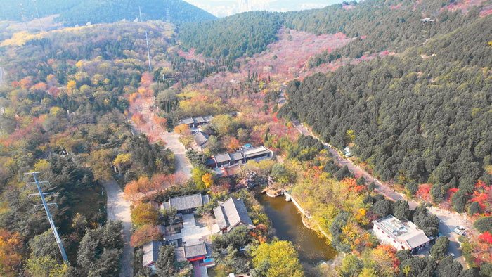 初冬的佛慧山层林尽染美不胜收