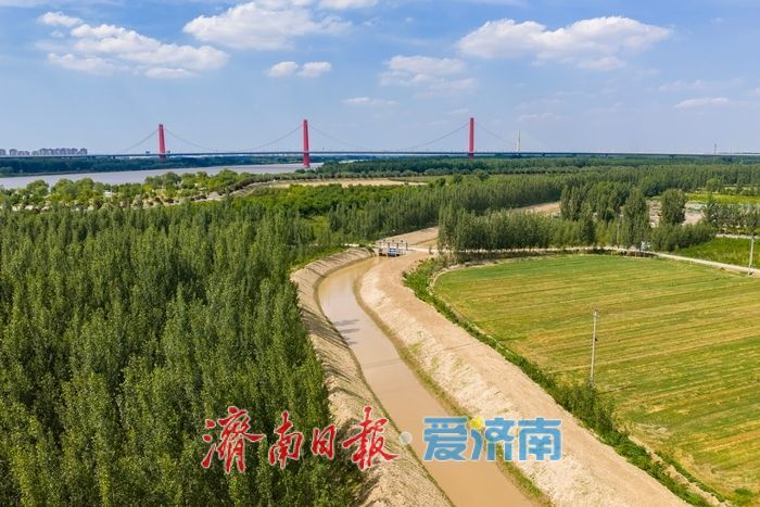 时隔12年，黄河水回来了！遥墙街道引黄灌溉工程通水