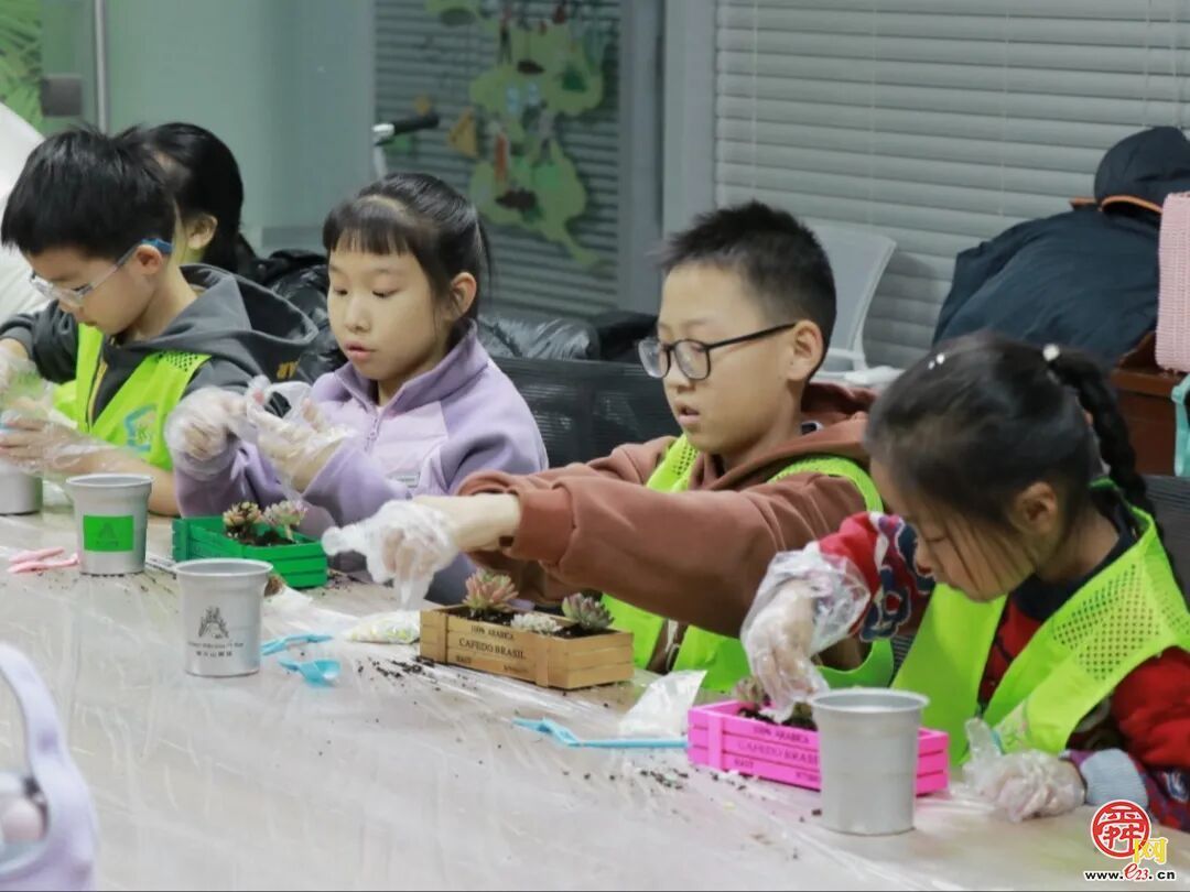 指尖塑绿意，公益暖泉城——济南泉民园艺中心联合辰星公益开展多肉DIY温暖陪伴活动