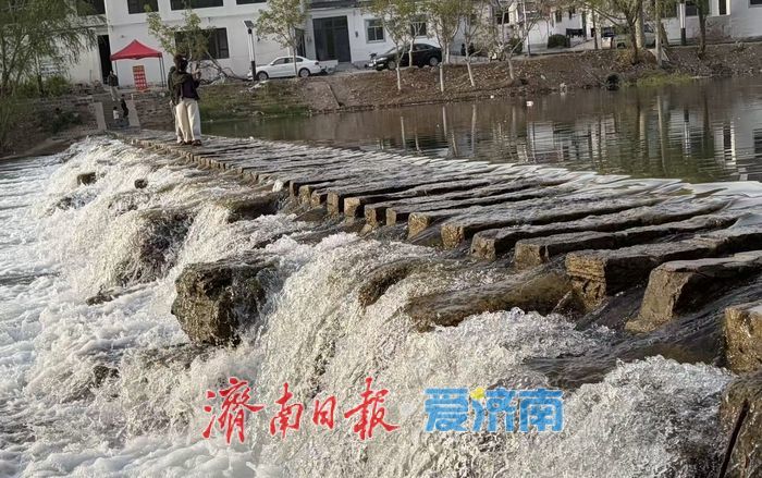 一年四季 泉在济南丨来玉符河边放个假