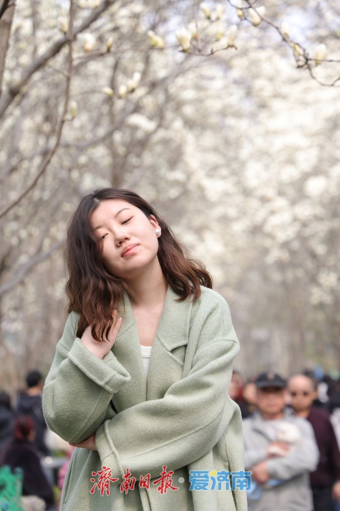 玉兰花开春意浓