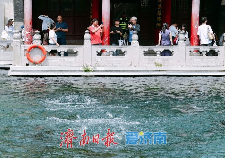 249天+29米以上持续天数：济南月牙泉与趵突泉双双刷新纪录