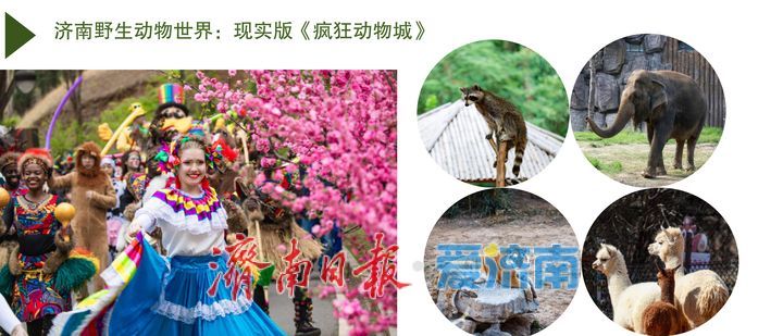 泉城“五一”热门打卡地发布，这个假期来济南！一站式将快乐拉满