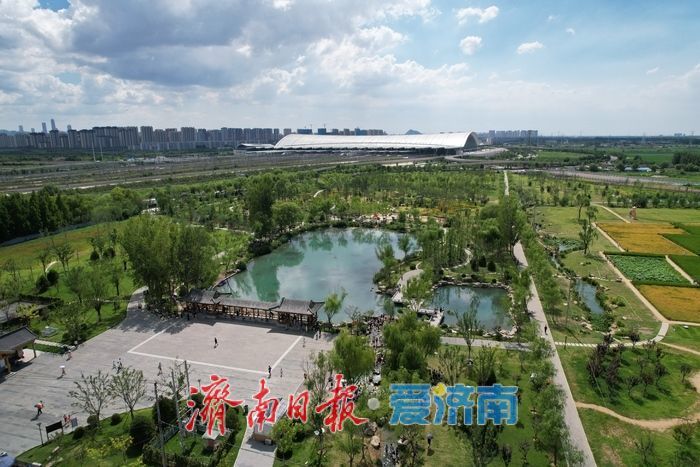 一年四季 泉在济南丨叮咚泉水映童趣，“泉涌白沙”醉游人