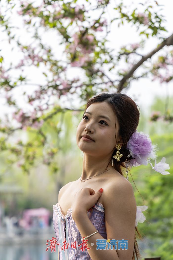 一年四季 泉在济南丨樱花海棠相竞艳，泉城春色醉游人