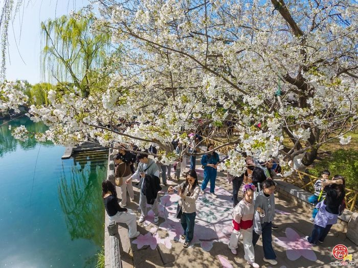 就在3月21日本周六！第23届五龙潭樱花节即将浪漫启幕