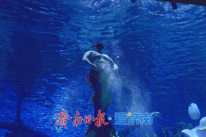 济南“胖人鱼”火爆出圈 解锁城市“圈粉”流量密码