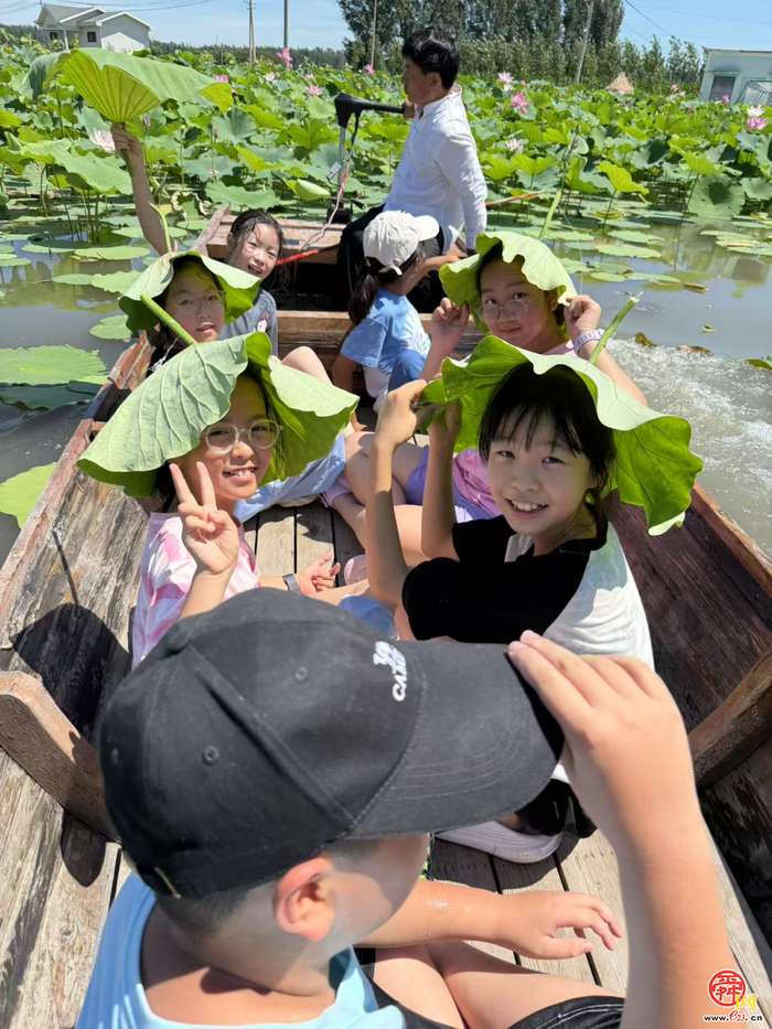 【党建融?学生成长共同体】荷风送香寻访路 章丘白云湖湿地里的“自然课堂”活力绽放?