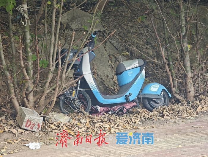 济南整治违规共享电单车 两千余辆违投车辆集中规范存放 守护城市通行秩序