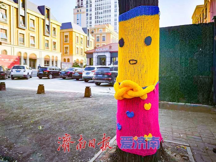 经四路树木“换新装”，萌趣针织艺术点亮城市街角