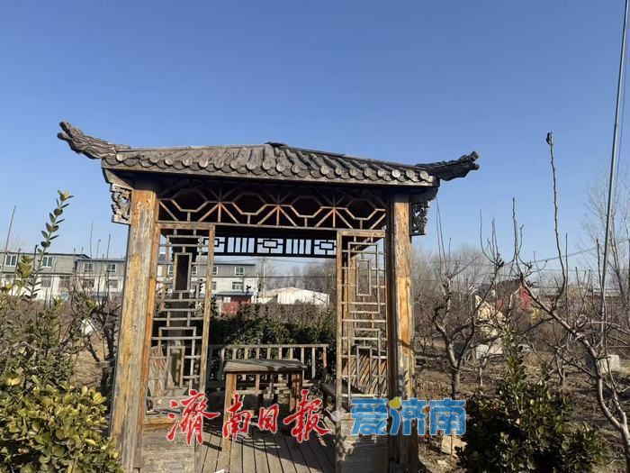 新春走基层丨归乡筑梦：“新农人”踏上田野征程