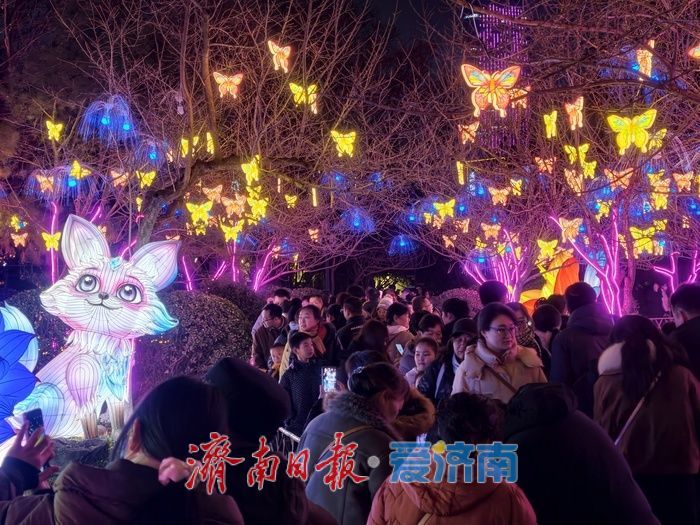 一年四季 泉在济南丨火树银花不夜天，五龙潭迎春花灯盛宴催热泉城“夜经济”