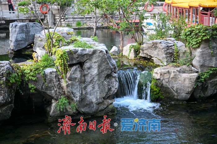  一年四季 泉在济南丨护城河水位明显上涨 泉水景观换新颜
