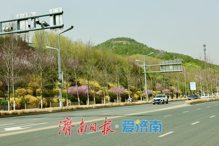 济南CBD茂岭山山体公园春花烂漫，绘就城市春日盛景