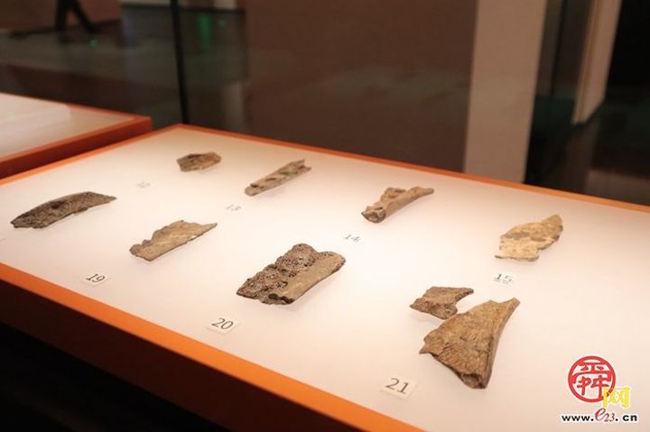 济南市历城区大辛庄遗址博物馆开馆试运营，展出文物800余件